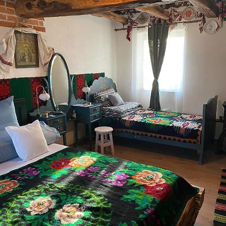 Casa Cezara Apartment Silvasu de Jos ภายนอก รูปภาพ
