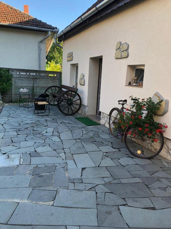 Casa Cezara Apartment Silvasu de Jos ภายนอก รูปภาพ