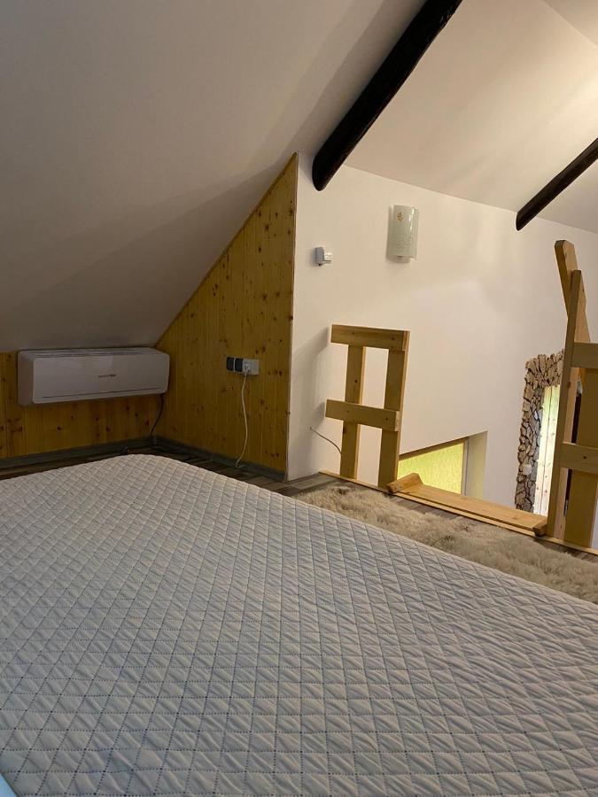 Casa Cezara Apartment Silvasu de Jos ภายนอก รูปภาพ