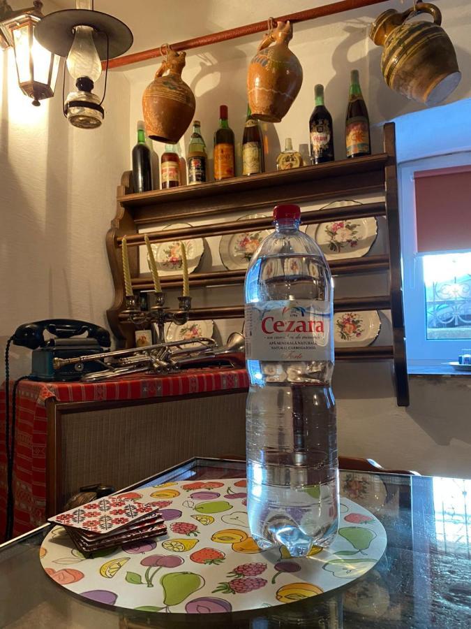 Casa Cezara Apartment Silvasu de Jos ภายนอก รูปภาพ