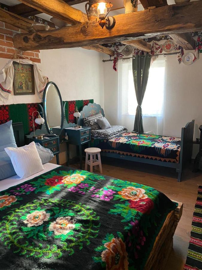 Casa Cezara Apartment Silvasu de Jos ภายนอก รูปภาพ