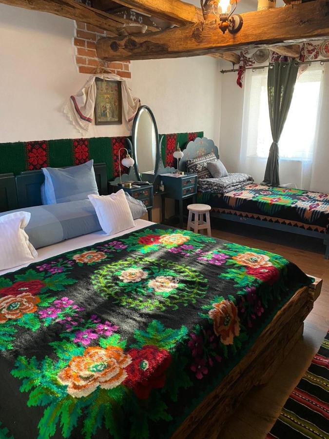Casa Cezara Apartment Silvasu de Jos ภายนอก รูปภาพ