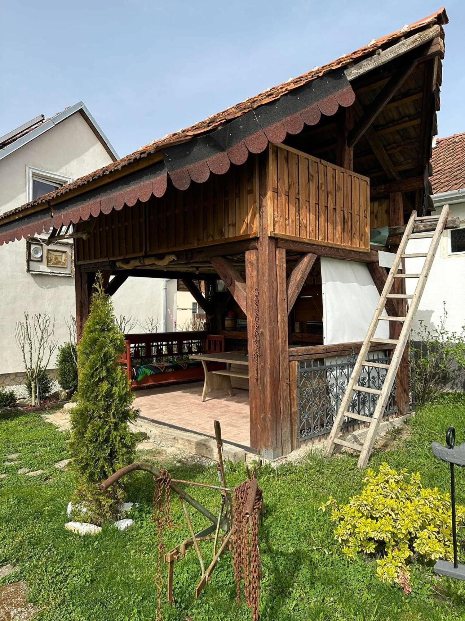 Casa Cezara Apartment Silvasu de Jos ภายนอก รูปภาพ