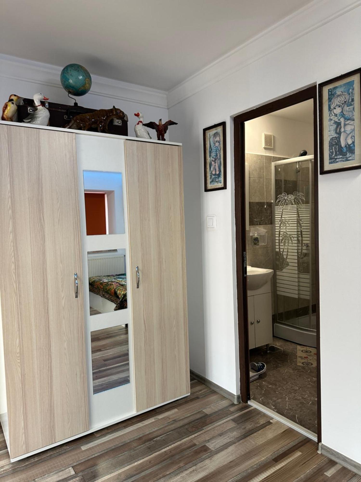 Casa Cezara Apartment Silvasu de Jos ภายนอก รูปภาพ