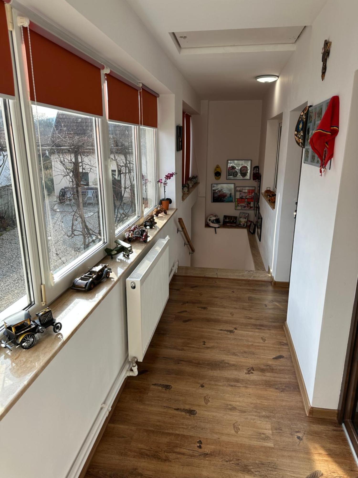 Casa Cezara Apartment Silvasu de Jos ภายนอก รูปภาพ