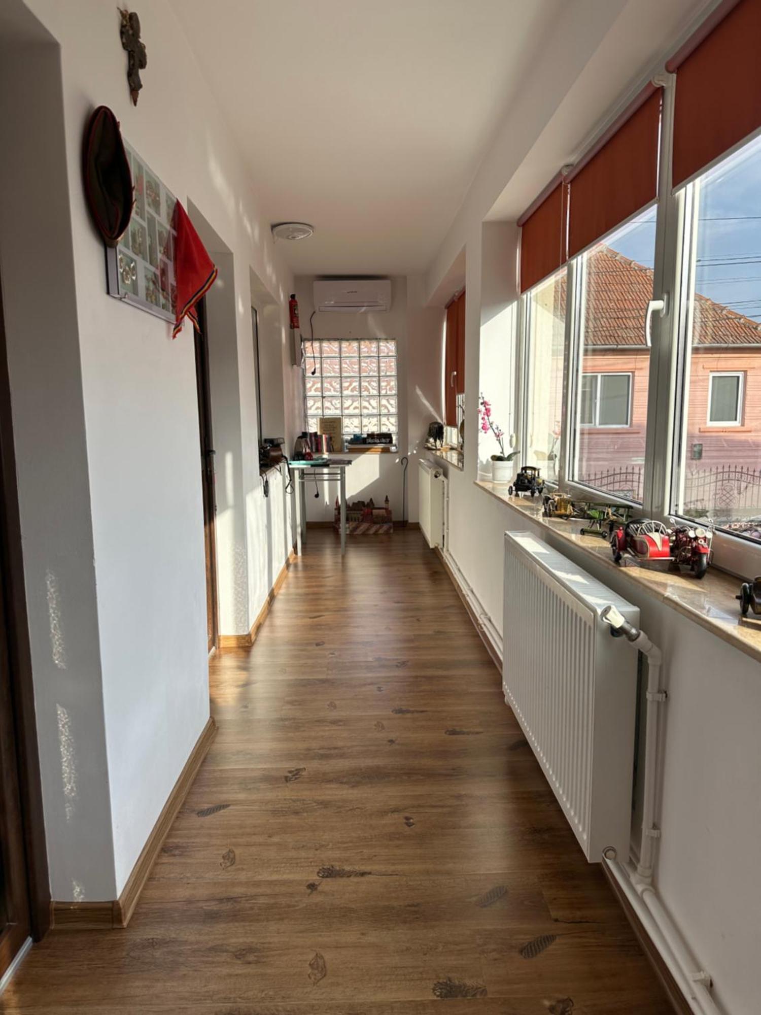Casa Cezara Apartment Silvasu de Jos ภายนอก รูปภาพ