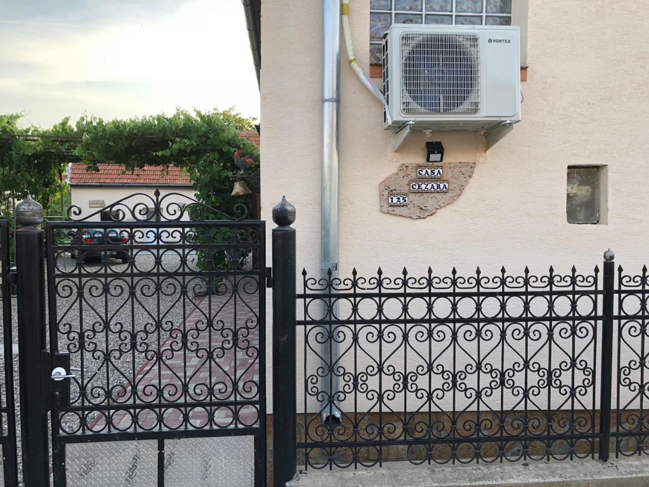 Casa Cezara Apartment Silvasu de Jos ภายนอก รูปภาพ